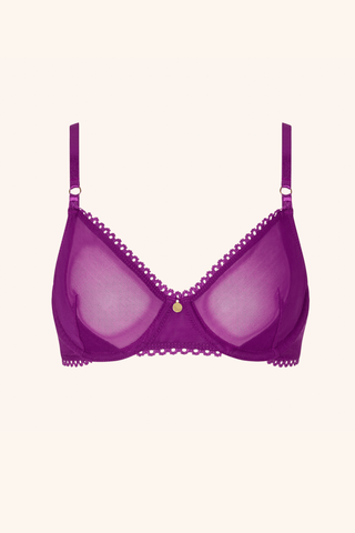 Dolce XS / Plum Push Up Bra Plum