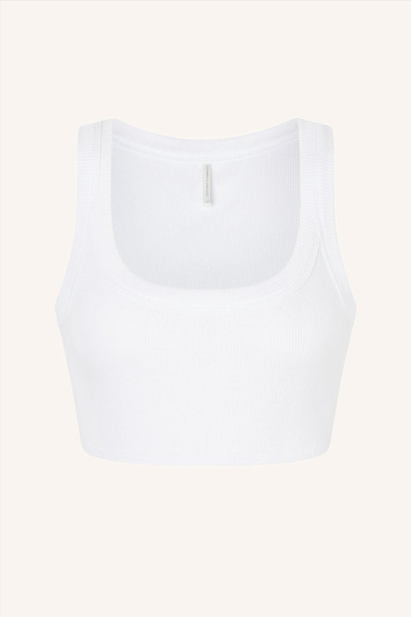 Rib Crop White Top