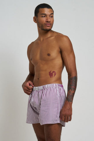 Le Boyfriend Men's Boxer Plum